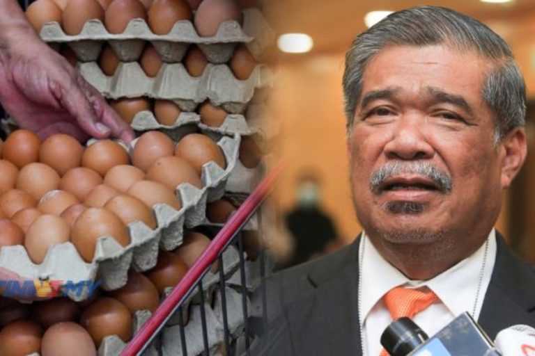 Mat Sabu import telur ayam dari India ke Malaysia