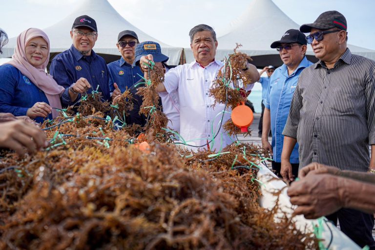 Industri rumpai laut harus diberikan sokongan – Mohamad Sabu