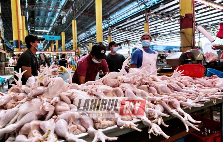 Bekalan dan harga ayam stabil – Mohamad Sabu
